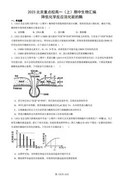 2023北京重点校高一（上）期中生物汇编：降低化学反应活化能的酶-答案