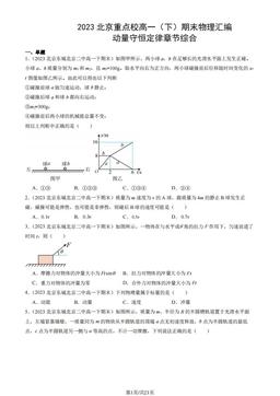 2023北京重点校高一（下）期末物理汇编：动量守恒定律章节综合-答案