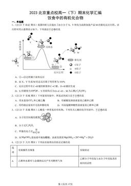 2023北京重点校高一（下）期末化学汇编：饮食中的有机化合物-答案