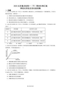 2023北京重点校高一（下）期末生物汇编：降低化学反应活化能的酶-答案
