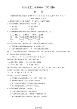 2024北京二十中高一（下）期末化学（教师版）-答案