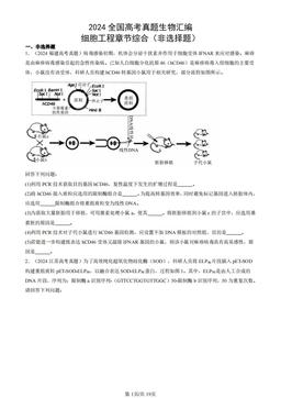 2024全国高考真题生物汇编：细胞工程章节综合（非选择题）-答案