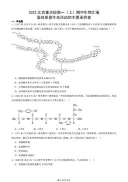 2022北京重点校高一（上）期中生物汇编：蛋白质是生命活动的主要承担者-答案