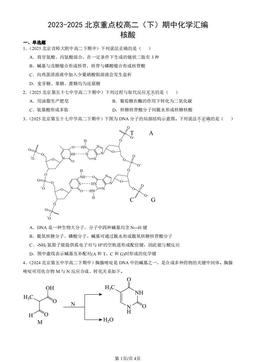 2023-2025北京重点校高二（下）期中化学汇编：核酸-答案