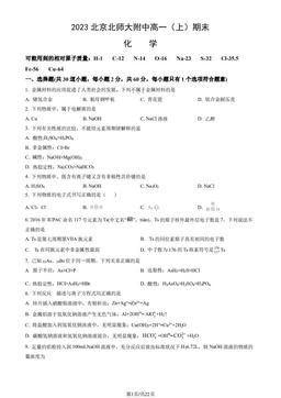 2023北京北师大附中高一（上）期末化学（教师版）-答案