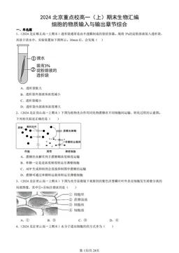 2024北京重点校高一（上）期末生物汇编：细胞的物质输入与输出章节综合-答案