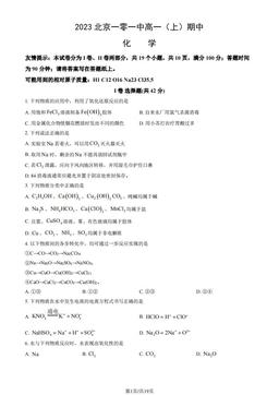 2023北京一零一中高一（上）期中化学（教师版）-答案