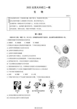 2022北京大兴初二一模生物（教师版）-答案