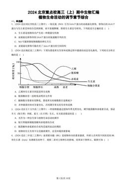 2024北京重点校高三（上）期中生物汇编：植物生命活动的调节章节综合-答案