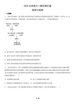 2022北京高三一模生物汇编：变异与育种-答案