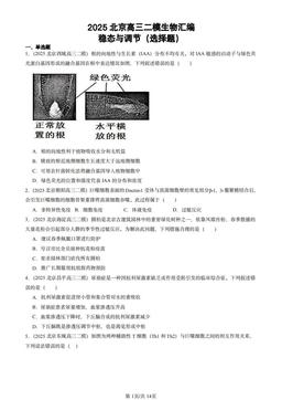 2025北京高三二模生物汇编：稳态与调节（选择题）-答案