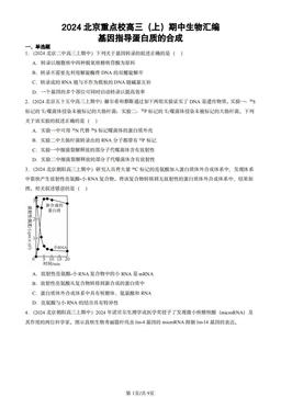 2024北京重点校高三（上）期中生物汇编：基因指导蛋白质的合成-答案