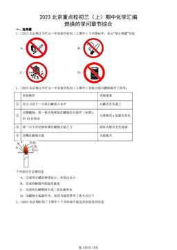 2023北京重点校初三（上）期中化学汇编：燃烧的学问章节综合-答案