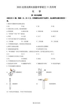 2023北京北师大实验中学初三11月月考化学（教师版）-答案