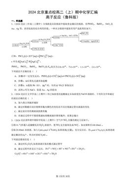 2024北京重点校高二（上）期中化学汇编：离子反应（鲁科版）-答案