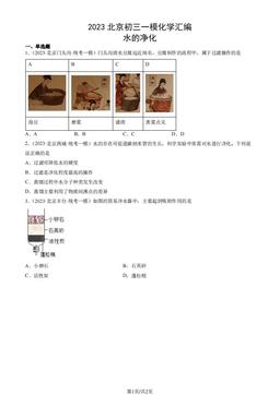 2023北京初三一模化学汇编：水的净化-答案