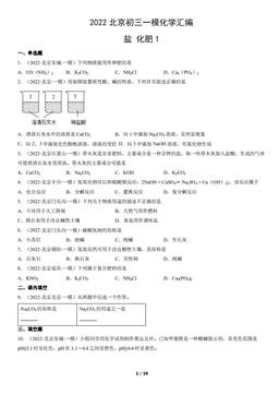 2022北京初三一模化学汇编：盐 化肥1-答案