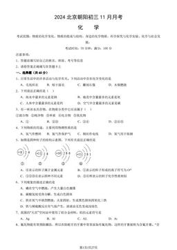 2024北京朝阳初三11月月考化学（教师版）-答案