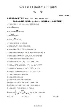 2025北京北大附中高三（上）统练四化学（教师版）-答案