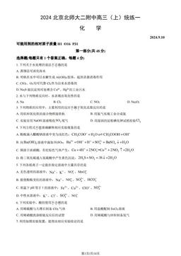 2024北京北师大二附中高三（上）统练一化学（教师版）-答案