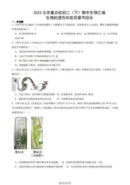 2023北京重点校初二（下）期中生物汇编：生物的遗传和变异章节综合-答案