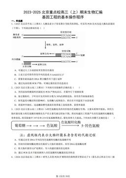 2023-2025北京重点校高三（上）期末生物汇编：基因工程的基本操作程序-答案