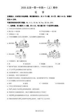2025北京一零一中高一（上）期中化学（教师版）-答案