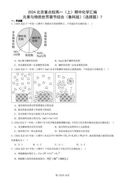 2024北京重点校高一（上）期中化学汇编：元素与物质世界章节综合（鲁科版）（选择题）7-答案
