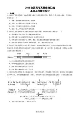2023全国高考真题生物汇编：基因工程章节综合-答案