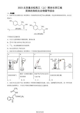 2023北京重点校高三（上）期末化学汇编：简单的有机化合物章节综合-答案