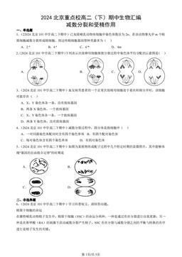 2024北京重点校高二（下）期中生物汇编：减数分裂和受精作用-答案