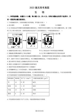 2023重庆高考真题生物（教师版）-答案