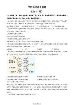 2023浙江高考真题生物（1月）（教师版）-答案