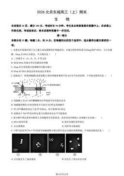 2026北京东城高三（上）期末生物（教师版）-答案