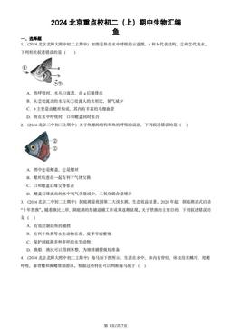 2024北京重点校初二（上）期中生物汇编：鱼-答案