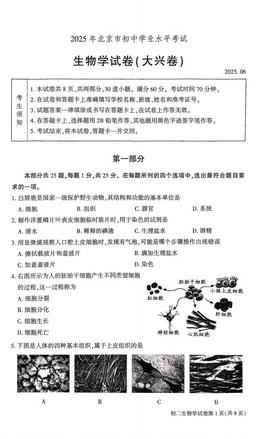 2025北京大兴初中学业水平考试生物（教师版）-答案