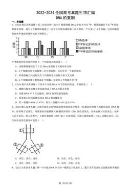 2022-2024全国高考真题生物汇编：DNA的复制-答案