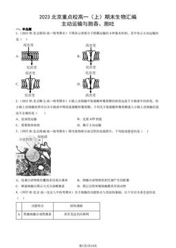 2023北京重点校高一（上）期末生物汇编：主动运输与胞吞、胞吐-答案