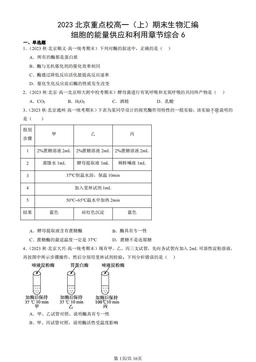 2023北京重点校高一（上）期末生物汇编：细胞的能量供应和利用章节综合6-答案