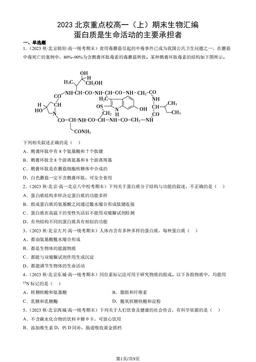 2023北京重点校高一（上）期末生物汇编：蛋白质是生命活动的主要承担者-答案