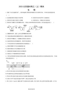 2023北京通州高三（上）期末生物（教师版）-答案