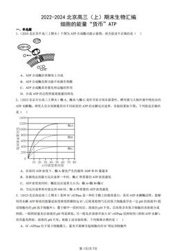 2022-2024北京高三（上）期末生物汇编：细胞的能量“货币”ATP-答案