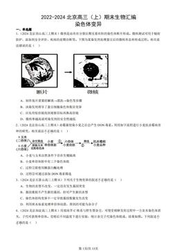 2022-2024北京高三（上）期末生物汇编：染色体变异-答案