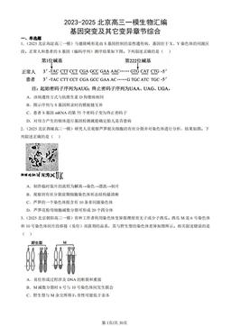 2023-2025北京高三一模生物汇编：基因突变及其它变异章节综合-答案