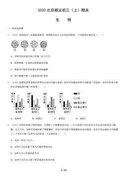 2020北京顺义初三（上）期末生物（教师版）-答案