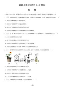 2020北京大兴初三（上）期末生物（教师版）-答案
