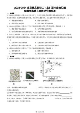 2022-2024北京重点校初二（上）期末生物汇编：细菌和真菌在自然界中的作用-答案