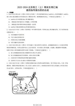2022-2024北京高三（上）期末生物汇编：基因指导蛋白质的合成-答案