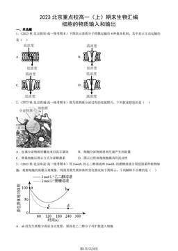 2023北京重点校高一（上）期末生物汇编：细胞的物质输入和输出-答案