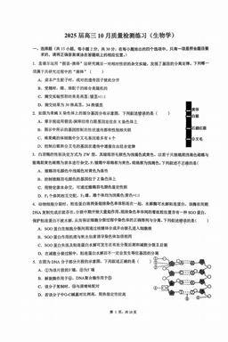 2024北京人大附中高三10月月考生物（教师版）-答案